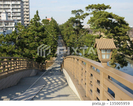 草加松原!太鼓型歩道橋・矢立橋から松並木 草加松原!太鼓型歩道橋・矢立橋から松並木 135005959