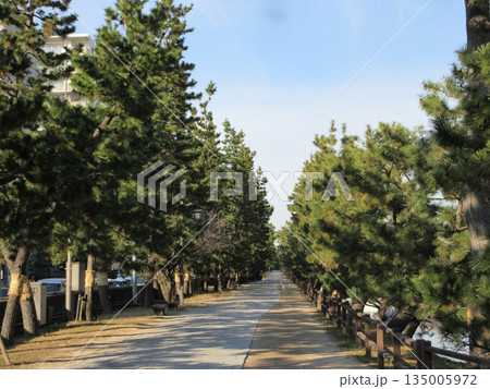 草加松原！おくのほそ道の風景地・松並木 135005972