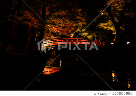 森町の遠江国一宮小國神社の紅葉の風景(静岡県) 135005990