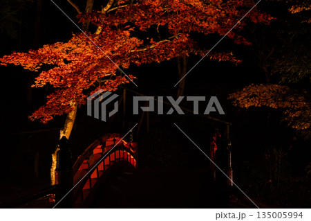 森町の遠江国一宮小國神社の紅葉の風景(静岡県) 135005994