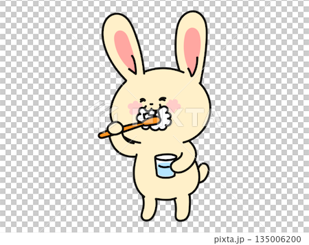 はみがきで虫歯予防をするウサギさん 135006200