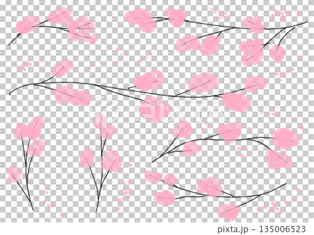 簡單的櫻花水彩插圖 簡單的櫻花水彩插圖 135006523
