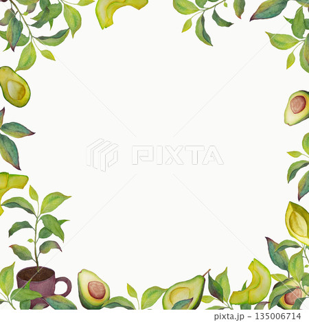 Watercolor avocado botanical frame with leaves on white background Watercolor avocado botanical frame with leaves on white background 135006714