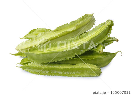 pile of winged beans, also known as cigarillas, manila or four-angled or goa beans, asparagus pea, tropical legume vegetable isolated on a white background pile of winged beans, also known as cigarillas, manila or four-angled or goa beans, asparagus pea, tropical legume vegetable isolated on a white background 135007031