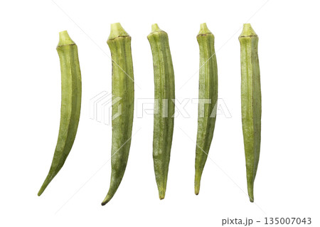 pod of okra, also known as lady finger or gumbo isolated on a white background pod of okra, also known as lady finger or gumbo isolated on a white background 135007043