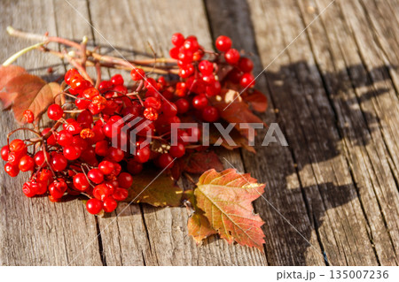 Red berries of viburnum on rustic wooden background 135007236