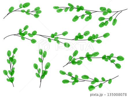 シンプルな木の枝と新芽の水彩イラスト 135008078