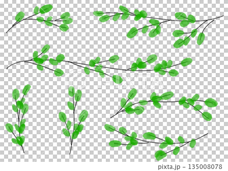 シンプルな木の枝と新芽の水彩イラスト 135008078