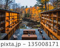 Autumnal Library with Wooden Bookshelves and a View of a Pond 135008171