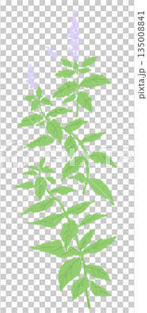 02_mint 02_mint 135008841