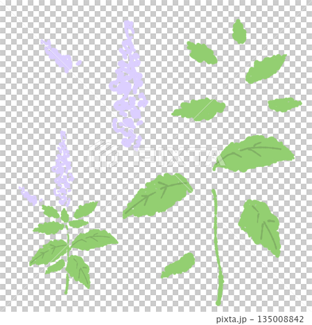 herbal, leaf, leafs 135008842