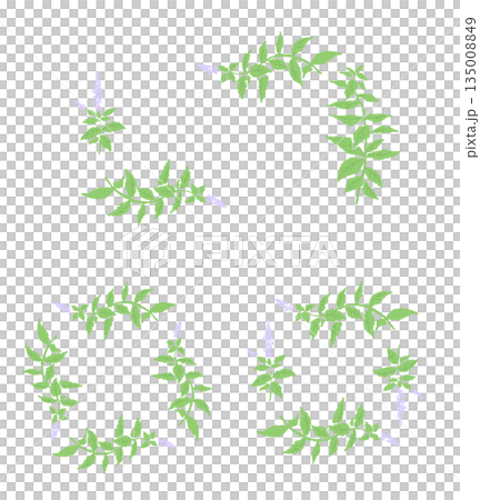 herbal, vector, vectors 135008849