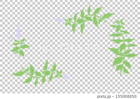 herbal, leaf, leafs 135008850