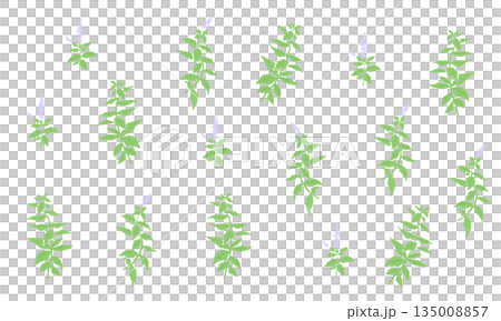 herbal, vector, vectors 135008857