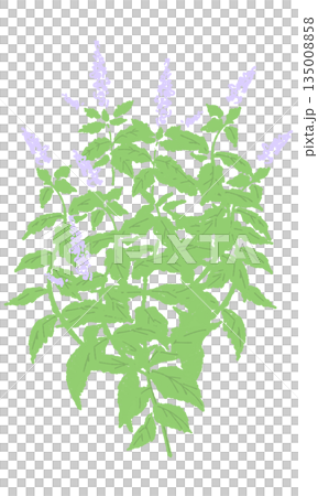 leaf, leafs, leaves 135008858