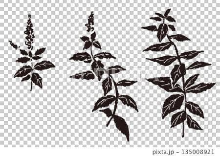 Mint hand-drawn monochrome illustration 135008921
