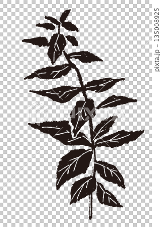 薄荷綠手繪單色插圖 薄荷綠手繪單色插圖 135008925