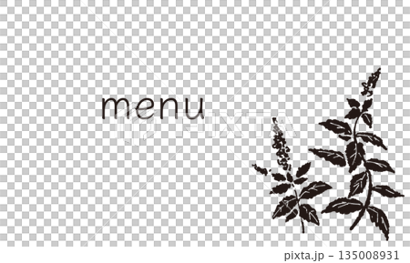 Mint hand-drawn monochrome illustration Mint hand-drawn monochrome illustration 135008931