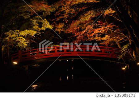 森町の遠江国一宮小國神社の紅葉の風景(静岡県) 135009173
