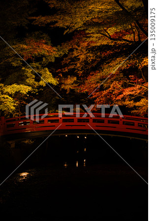 森町の遠江国一宮小國神社の紅葉の風景(静岡県) 135009175