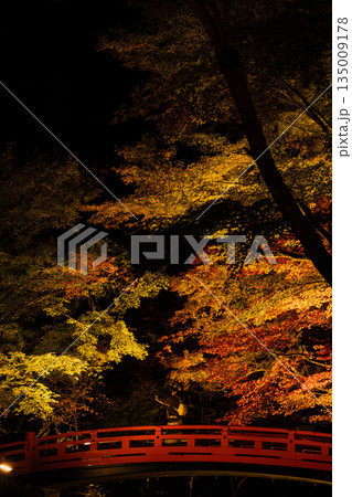 森町の遠江国一宮小國神社の紅葉の風景(静岡県) 135009178