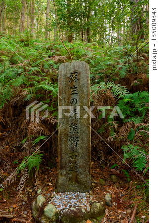 熊野古道 135009343