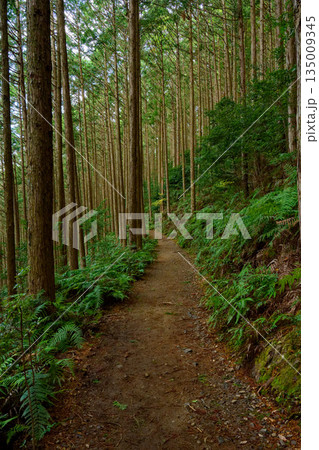 熊野古道 熊野古道 135009345