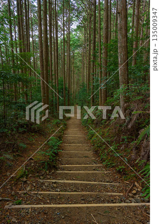 熊野古道 熊野古道 135009347