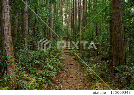 熊野古道 135009348