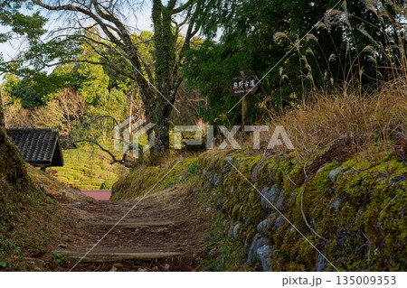 熊野古道 135009353