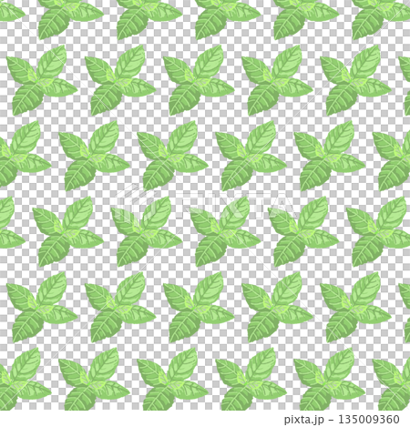 手繪薄荷葉彩色插圖 135009360