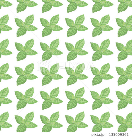 手書き風のミントの葉のカラーイラスト 手書き風のミントの葉のカラーイラスト 135009361