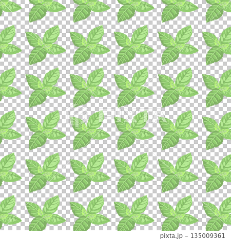 手書き風のミントの葉のカラーイラスト 手書き風のミントの葉のカラーイラスト 135009361