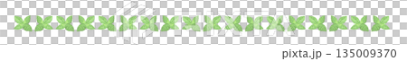 Hand-drawn mint leaf color illustration Hand-drawn mint leaf color illustration 135009370