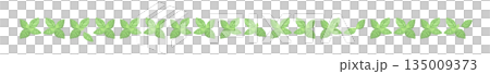 Hand-drawn mint leaf color illustration Hand-drawn mint leaf color illustration 135009373