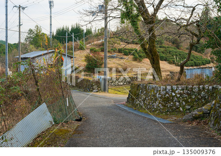 熊野古道 135009376