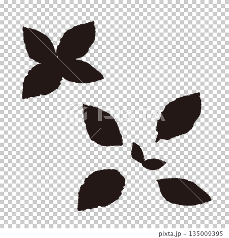 手書き風のミントの葉のイラスト(モノクロ白黒) 手書き風のミントの葉のイラスト(モノクロ白黒) 135009395