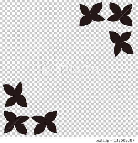 手繪薄荷葉插圖（單色黑白） 135009397