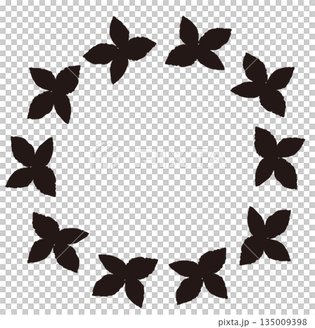 手繪薄荷葉插圖（單色黑白） 135009398