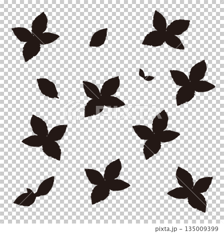 Hand-drawn mint leaf illustration (monochrome black and white) 135009399