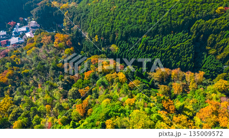 Nov 24 2025 Serene Takagamine Kaido Landscape in Kyoto, Japan Nov 24 2025 Serene Takagamine Kaido Landscape in Kyoto, Japan 135009572