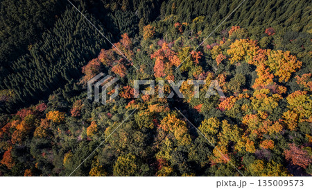 Nov 24 2025 Serene Takagamine Kaido Landscape in Kyoto, Japan Nov 24 2025 Serene Takagamine Kaido Landscape in Kyoto, Japan 135009573