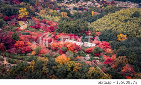Nov 24 2025 Scenic landscape of Sagaogurayamacho district in Kyoto Japan Nov 24 2025 Scenic landscape of Sagaogurayamacho district in Kyoto Japan 135009578