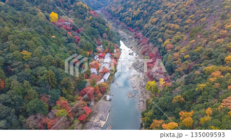 Nov 24 2025 Rankyo Gorge Scenic River Valley In Kyoto 135009593