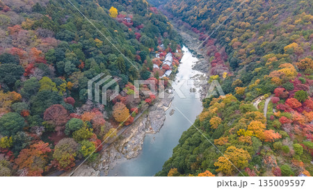 Nov 24 2025 Rankyo Gorge Autumn Valley Landscape In Kyoto Japan 135009597