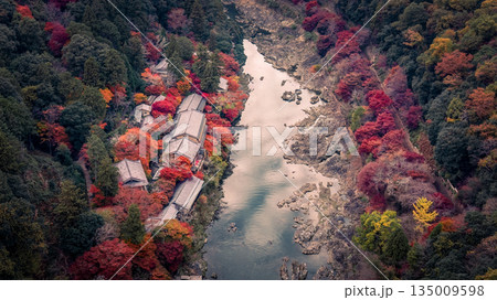 Nov 24 2025 Rankyo Gorge Autumn Valley Landscape In Kyoto Japan 135009598