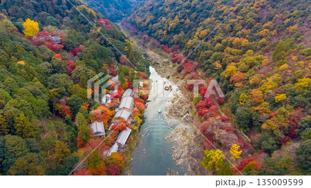 Nov 24 2025 Rankyo Gorge Autumn Valley Landscape In Kyoto Japan 135009599