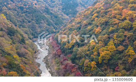 Nov 24 2025 Rankyo Gorge Autumn Valley Landscape In Kyoto Japan 135009600
