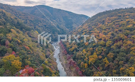 Nov 24 2025 Rankyo Gorge Autumn Valley Landscape In Kyoto Japan 135009601