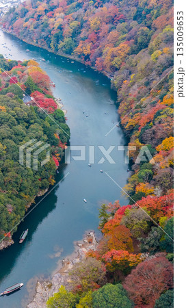 Nov 24 2025 Fall Trees At Arashiyama Rankyo Gorge Kyoto Japan Nov 24 2025 Fall Trees At Arashiyama Rankyo Gorge Kyoto Japan 135009653
